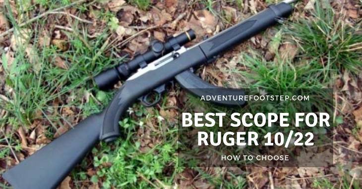 Signs Of The Best Scope For Ruger 10/22