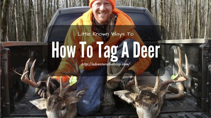 Little Known Ways To How To Tag A Deer