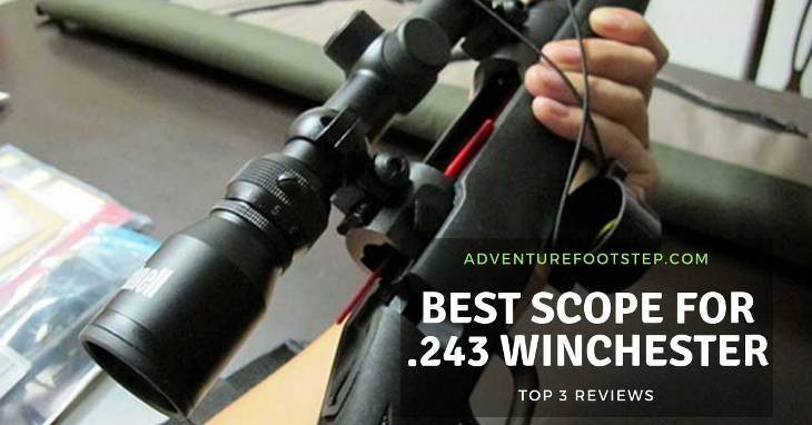 Best Scope for .243 Winchester: Vortex Optics, Bushnell or UUQ is The Winner?
