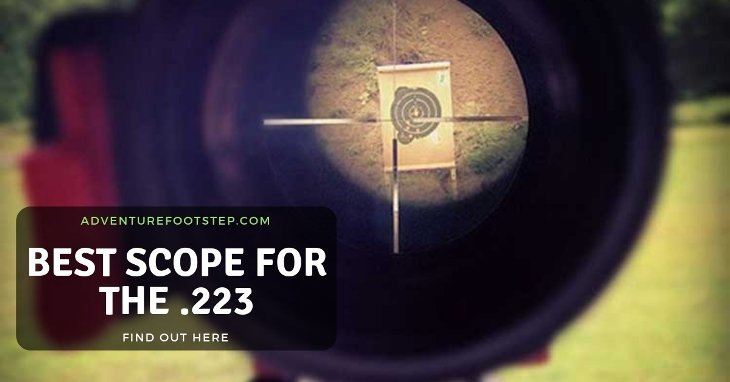 best-223-scope-for-the-money-review
