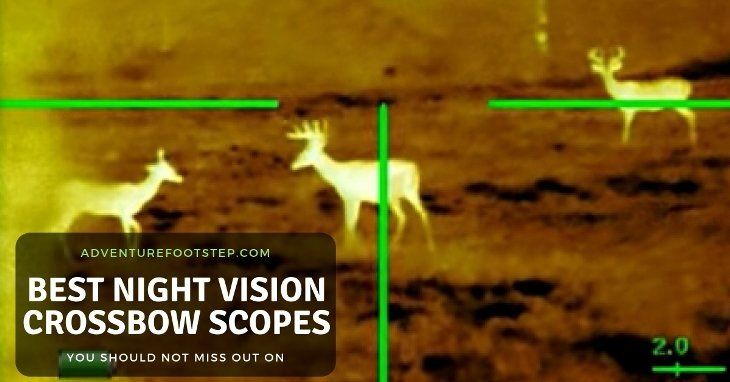 The Best Night Vision Crossbow Scopes You Should Not Miss Out On
