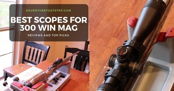 Top 3 Best Scopes for .300 Win Mag [2022 Recommendations]