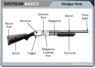 A-basic-sketch-of-a-shotgun