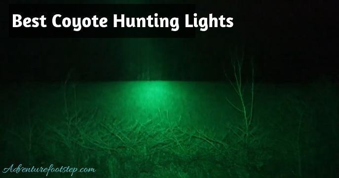 Best Coyote Hunting Lights: Reviews and Complete Buying Guide